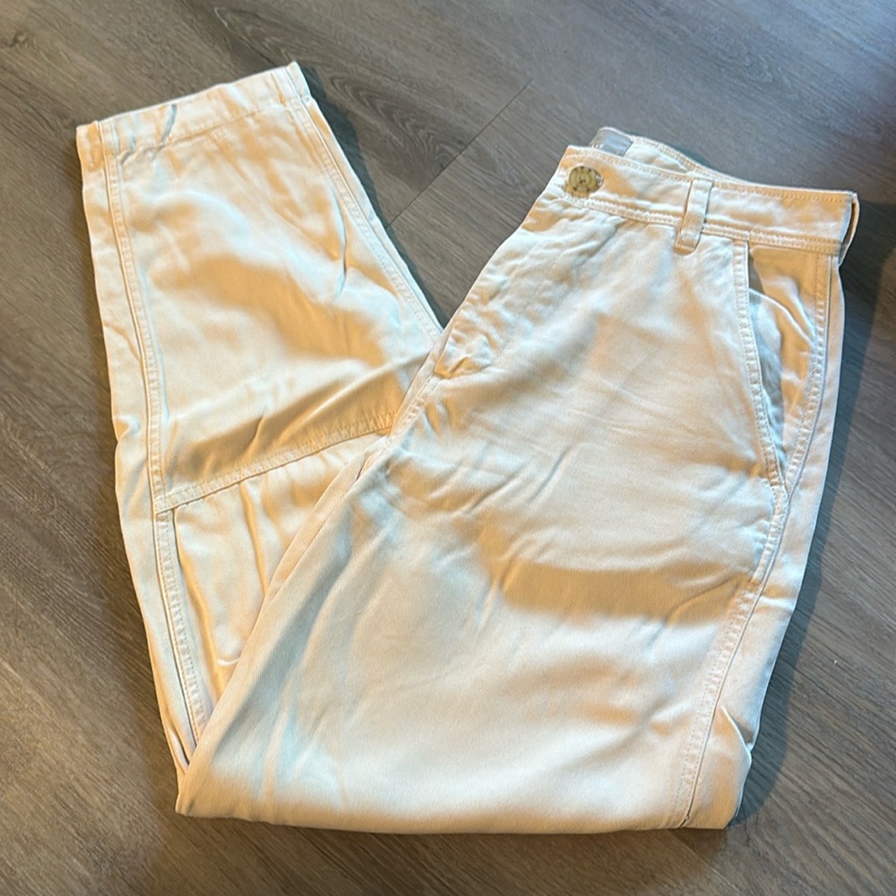 Everlane Utility Barrel Pant